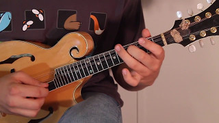 Woody's Rag - Beginner Mandolin Lesson