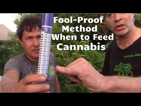 Eine narrensichere Methode, um zu wissen, wann man Cannabispflanzen Nährstoffe zuführen muss, um ...