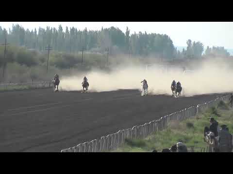 MEMESIÑO  Club Hipico "Los Olivillos" -   Chimpay - 15/ 10/ 2022