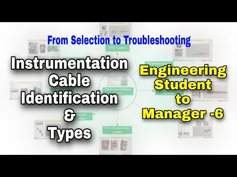 How to become a manager from Student Basics about the Industry