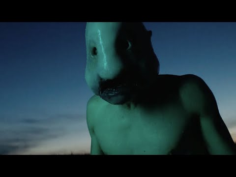 Space Chaser - The Immortals (OFFICIAL VIDEO)