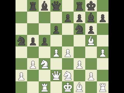 Benitah Yohan (FRA) VS Bastian Herbert (GER)