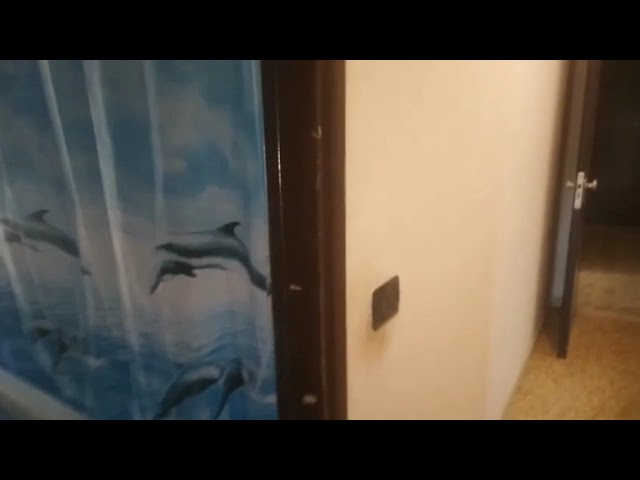 COD 2789 VENDESI APPARTAMENTO INZONA SACCA