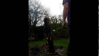 So just before I go...burn the log