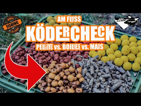 Ködercheck am Fluss - Pellets vs. Boilie vs. Mais  #vermeideFehler #karpfenangeln