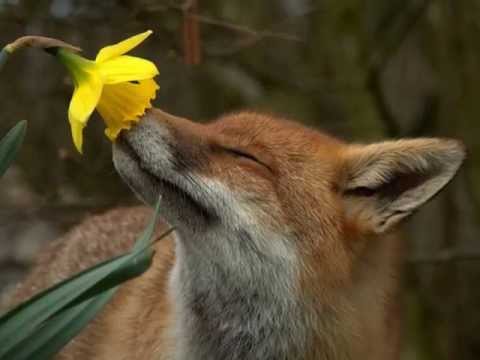 mãe natureza - macucos