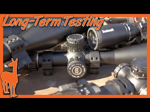 Bushnell AR Optics 1-8x24mm Review