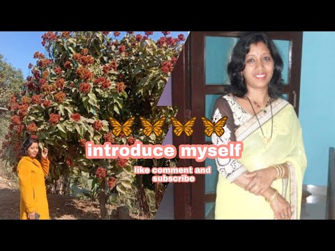 First video / introduction video / GITI VLOGS