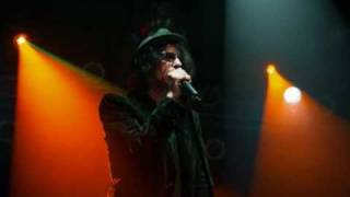 Peter Wolf -The Green Fields Of Summer