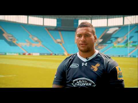 The Wasps // Banned Substances in rugby