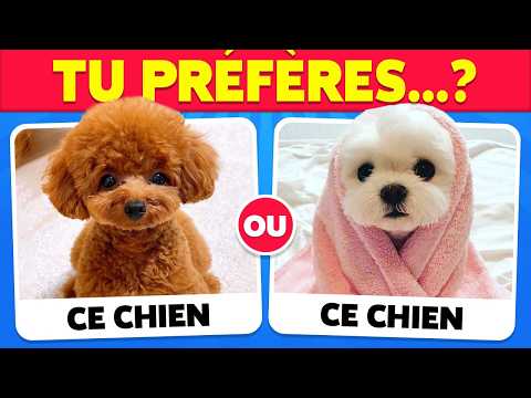 TU PRÉFÈRES...? SPÉCIAL ANIMAUX 🐶🐱 Hero Quiz