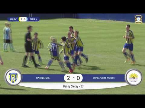 Hertfordshire FA U13 County Cup Final - Highlights