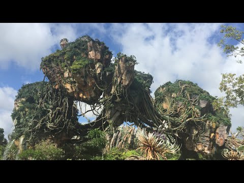 Flight of Passage Queue Walkthrough