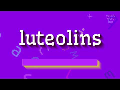 LUTEOLINS - HOW TO PRONOUNCE IT? #luteolins
