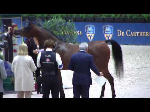 Memories of Paris 2019 - World Championships - Part 2 - Group 2b - Junior Female