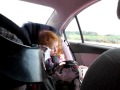 Singing Along With A Musical Crib Toy