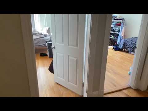 368 Chestnut Hill Ave. property video