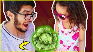 Aprenda Como Plantar Alface Americana Em Garrafa Pet Muito Prtico - Horta Genial