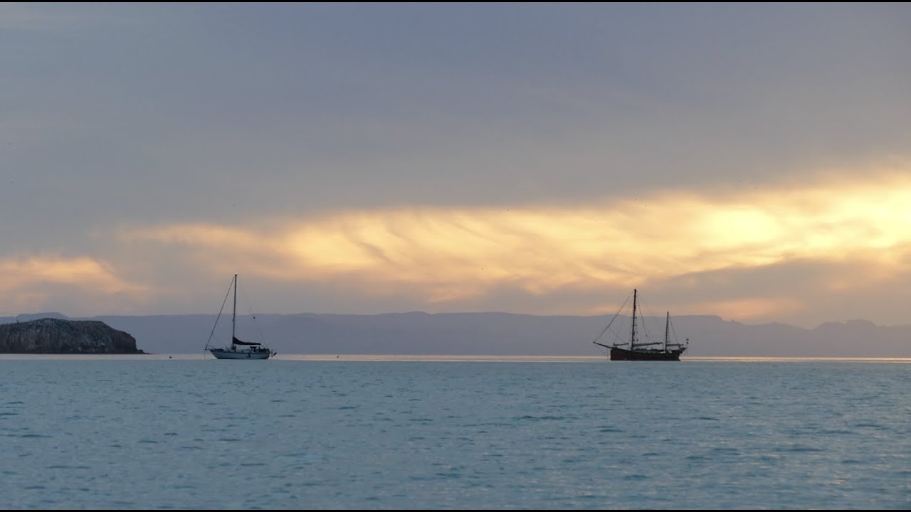 Salt & Tar: Ep.235- Buddy Boating to the Islands (We have Friends!)