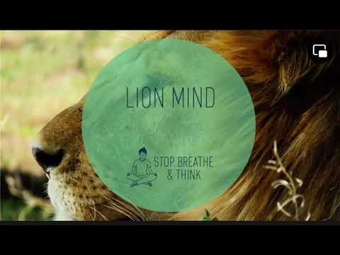 Lion Mind
