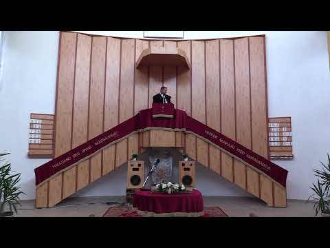 Videó előnézet