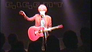 Steve Wynn - Gigant, Apeldoorn, Holland - May 14th 1994 (complete concert)