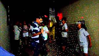 preview picture of video 'festa bruna alto garças harlem shake'