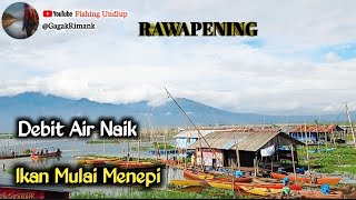 Download lagu Musim Hujan Tiba Ikan Mulai Menepi/Mancing Rawa Pening Terbaru.#FU-338 #mancingrawapening mp3 Download lagu Musim Hujan Tiba Ikan Mulai Menepi/Mancing Rawa Pening Terbaru.#FU-338 #mancingrawapening mp3