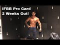 Competing for Mens Physique IFBB Pro Card - 2 Weeks Out!