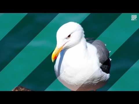 DBN and Paul Vinx - Get A Moev On (ID Preview)