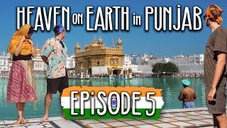 Punjab is AMAZING | Ep5 Amritsar & The Golden Temple | Travel India on $1000
