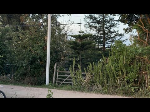 Scene outside home of former president of Uruguay Jose 'Pepe' Mujica after his death | AFP