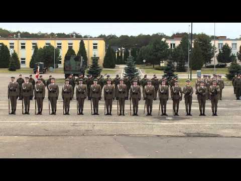 Musztra  paradna na wesoło w Białobrzegach gmina Nieporęt. Świętuje 9 Batalion Dowodzenia.