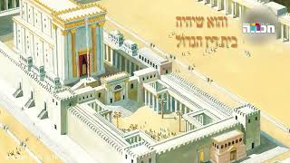 לשכת הגזית: למה בית המשפט העליון של עם ישראל חייב לדון דווקא שם? (הרב יואב אקריש) - התמונה מוצגת ישירות מתוך אתר האינטרנט יוטיוב. זכויות היוצרים בתמונה שייכות ליוצרה. קישור קרדיט למקור התוכן נמצא בתוך דף הסרטון