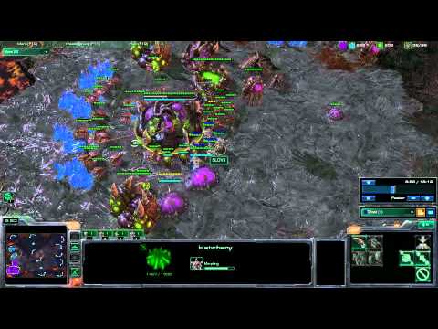 Amazing Zerg Defense