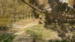 Pedro Guerra | Otra Forma De Sentir