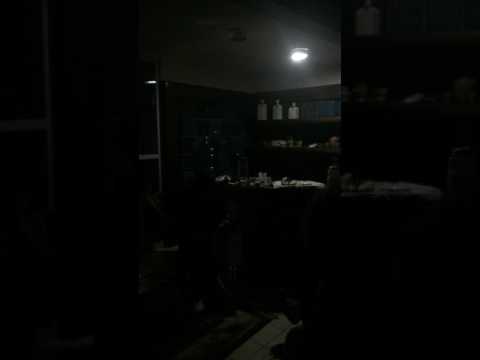 Fernando Motta, Jonathan Tadeu e Vitor Brauer - Futebol (LUAU MTV)