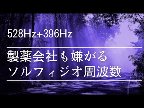 癒しの熱意 植物