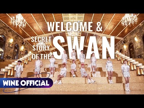 IZ*ONE (아이즈원) - SECRET STORY of the SWAN (환상동화) dance cover by WINE Dance Team from VIETNAM