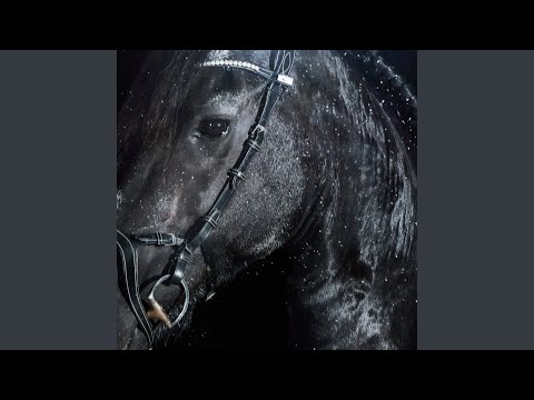 Turisti (feat. Turisti)