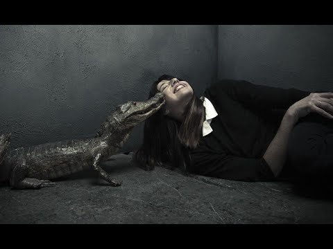 Interview With Pixies Bassist Paz Lenchantin - Bass Musician Magazine