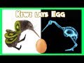 Kiwi Laying An Egg The Daily Egg 252