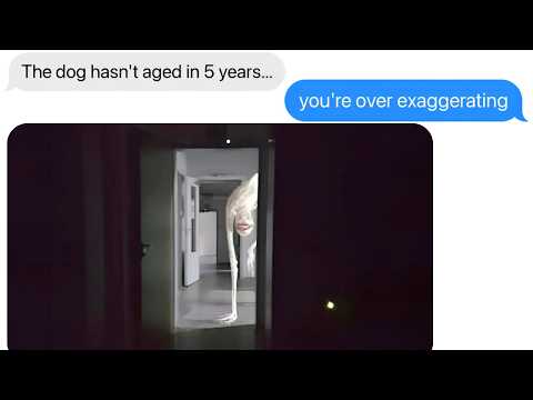 We Adopted The Wrong Dog... | Anxious Dog