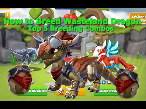 How to Breed Wasteland Dragon-Dragon Mania Legends | Top 5 Breeding Combination Wasteland Dragon