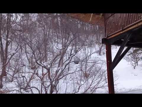高湯温泉 玉子湯 露天風呂「瀬音」
