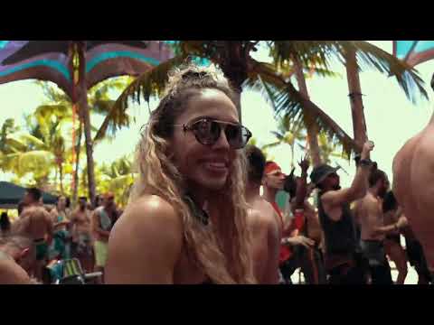 Synthatic -  Frequency