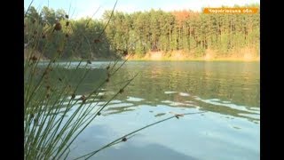 Голубые озера посреди леса: сколько стоит отдых и целебные свойства