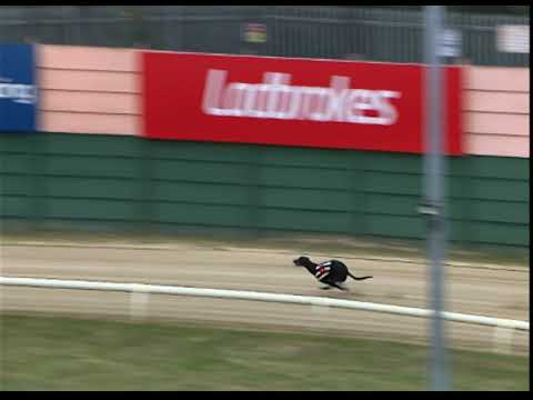 Saturday 21th September 2024 Trial 1 - No Sympathy