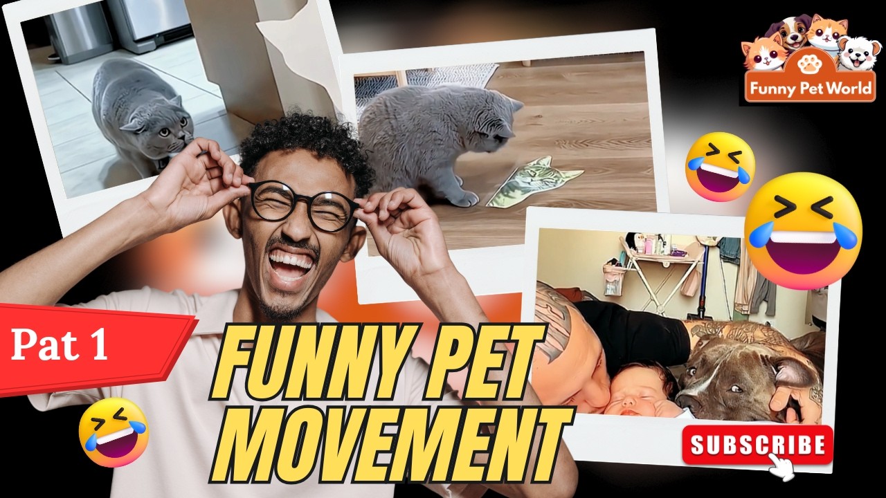 Max! What have you done? #cute #funny #pets #dog #cat #cat #funny #cute #animals #cat #dog #Max #mia