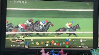 【競馬実況動画2026】第75回ラジオNIKKEI賞 サノノグレーター（田辺裕信）